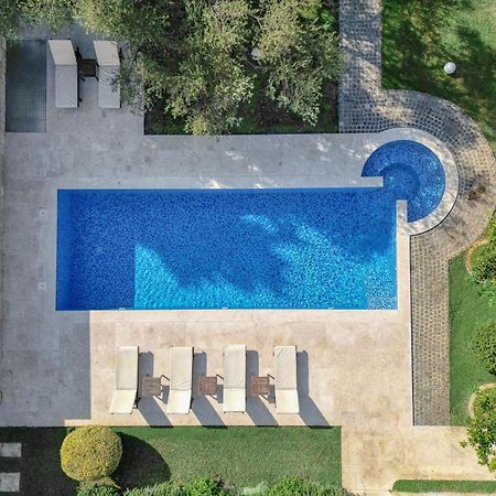 Villa Zen Port Petrovac Kültér fotó